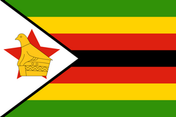 Logo Zimbabwe Women