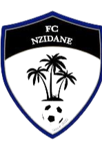 Logo Nzeidane