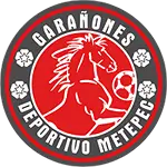 Logo Deportivo Metepec