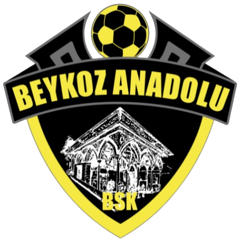 Logo Beykoz Anadolu